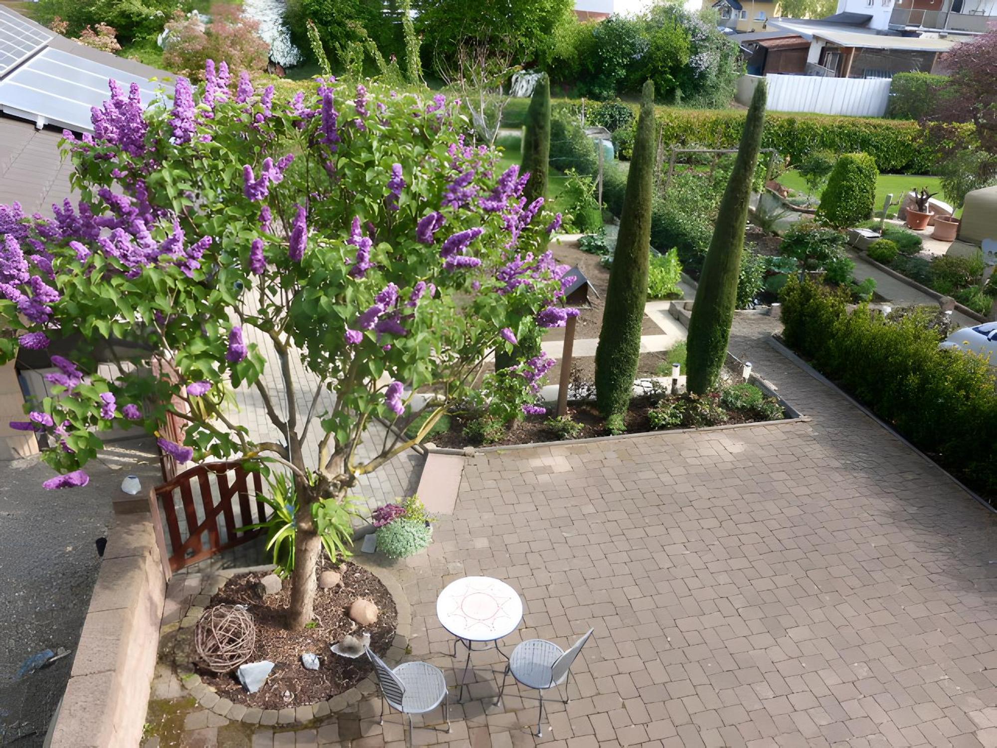 Ferienwohnung Schillinger ซาสบาค อัม ไคเซอร์ชตูล ภายนอก รูปภาพ