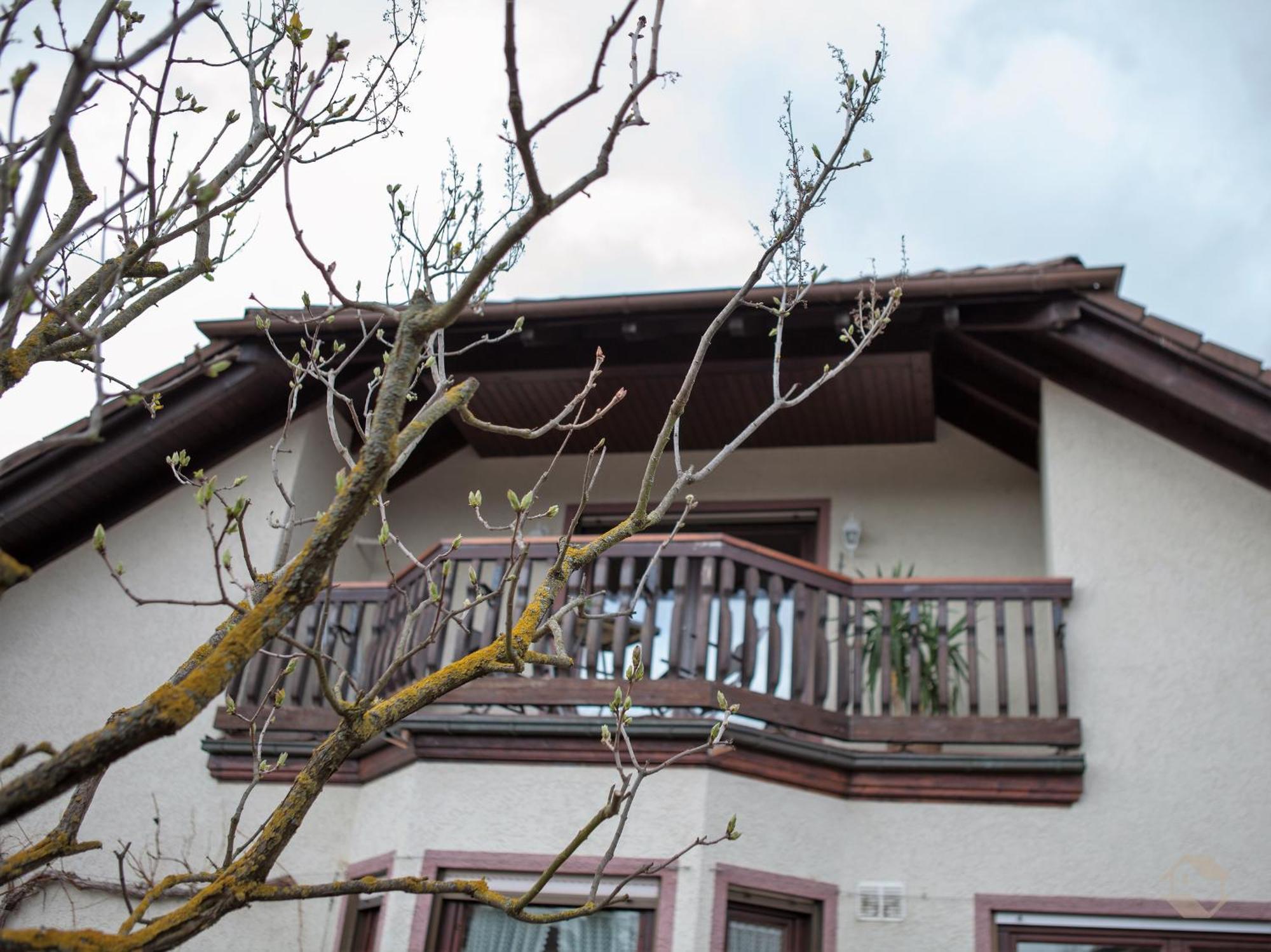 Ferienwohnung Schillinger ซาสบาค อัม ไคเซอร์ชตูล ภายนอก รูปภาพ